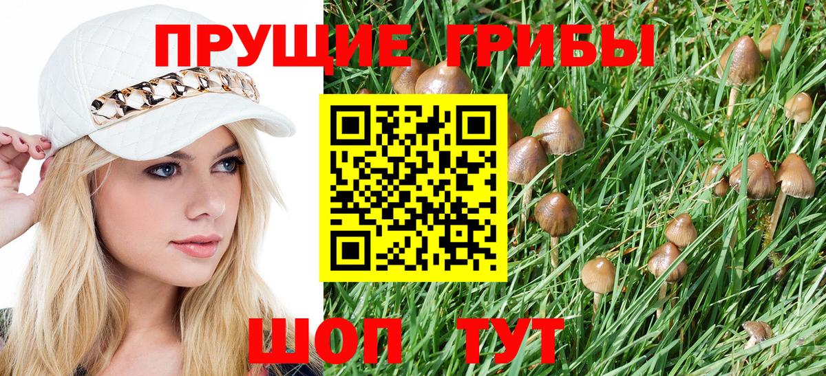 Псилоцибиновые грибы Psilocybe  Вход с VPN  Касимов 
