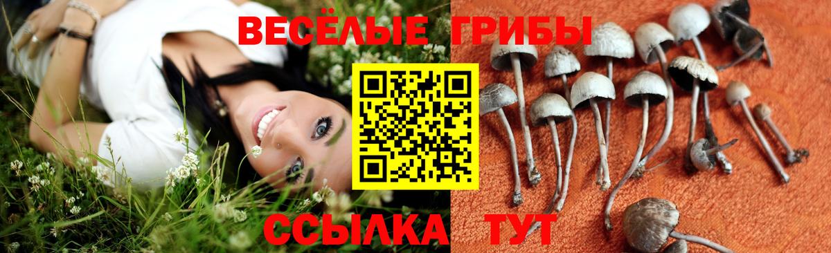 Галлюциногенные грибы прущие грибы Касимов